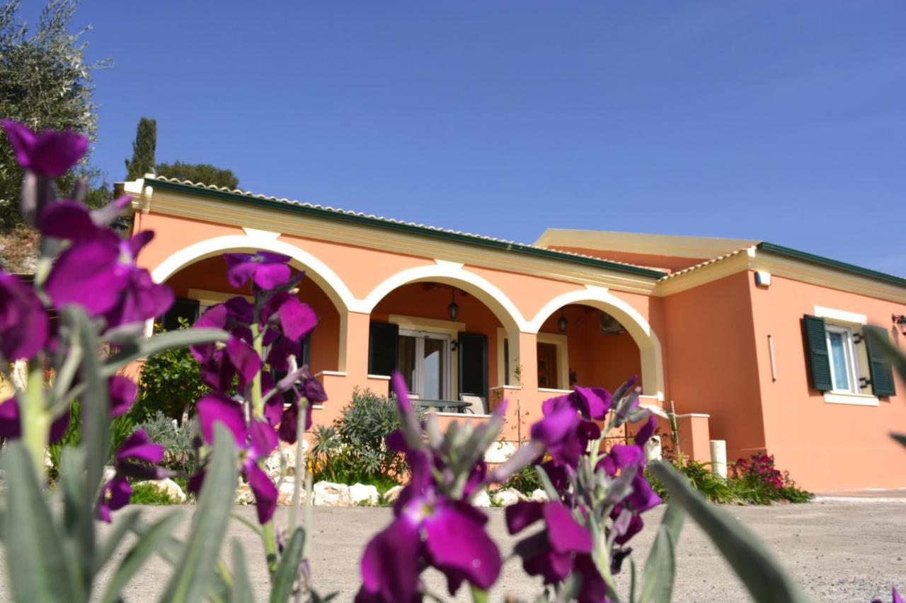 Villa Skafonas Σιναράδες Εξωτερικό φωτογραφία