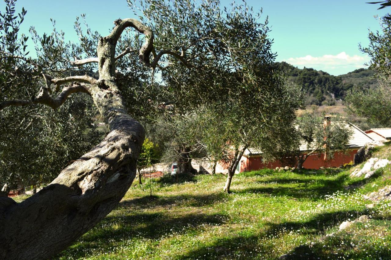 Villa Skafonas Σιναράδες Εξωτερικό φωτογραφία