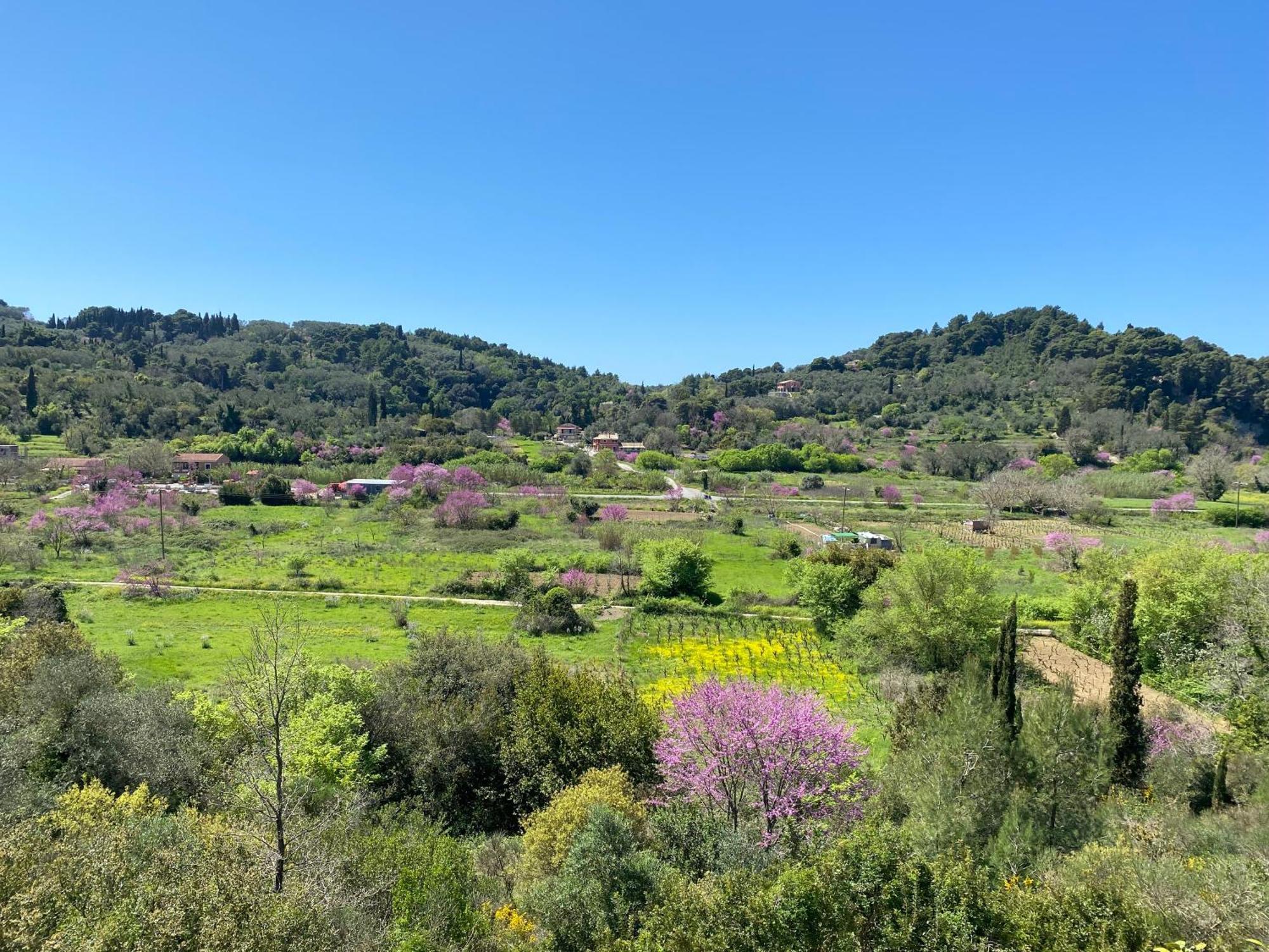 Villa Skafonas Σιναράδες Εξωτερικό φωτογραφία